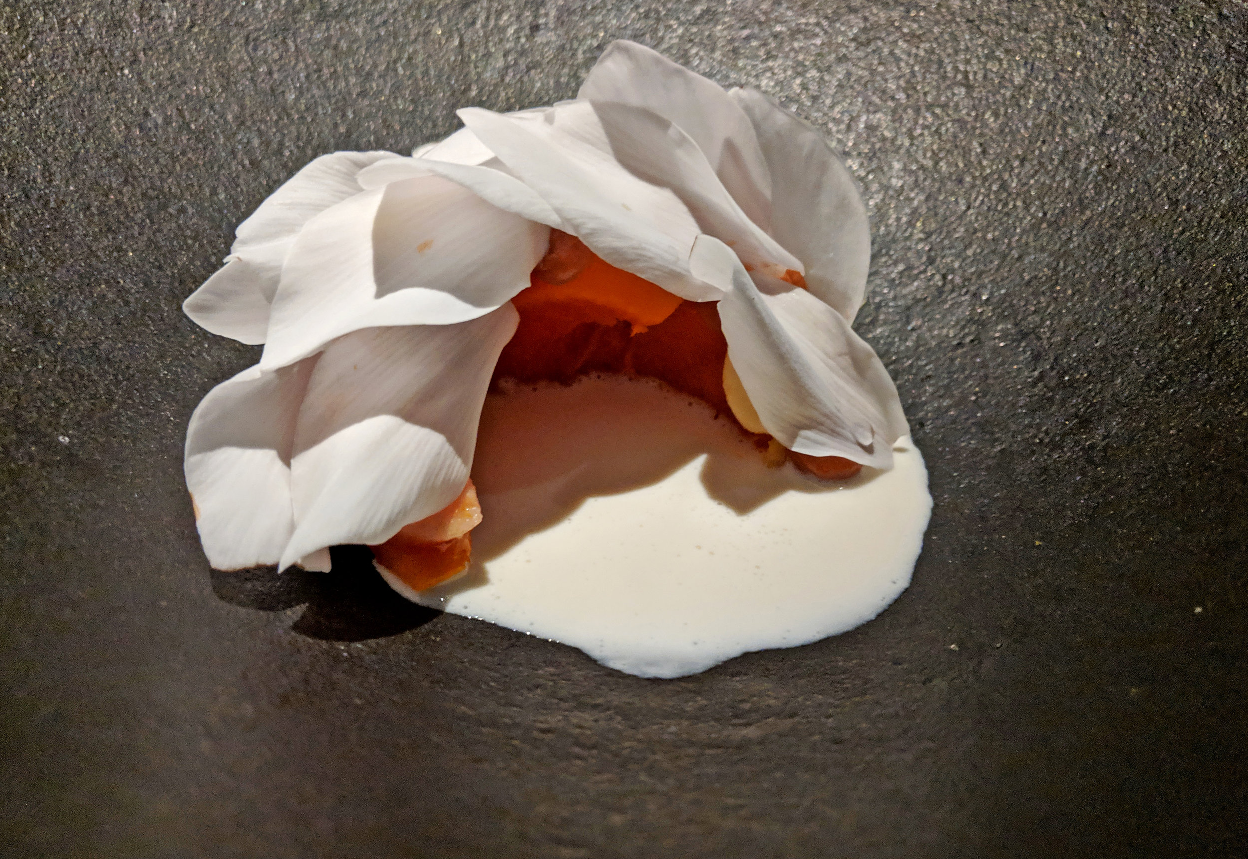 rose petal 2.jpg