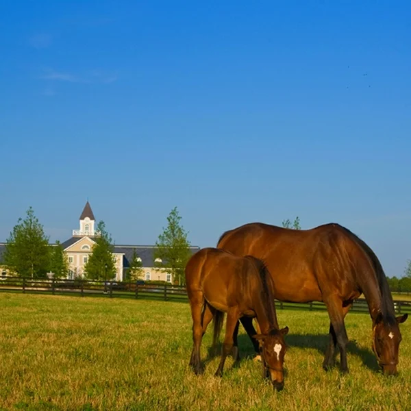 Adena Springs Farm