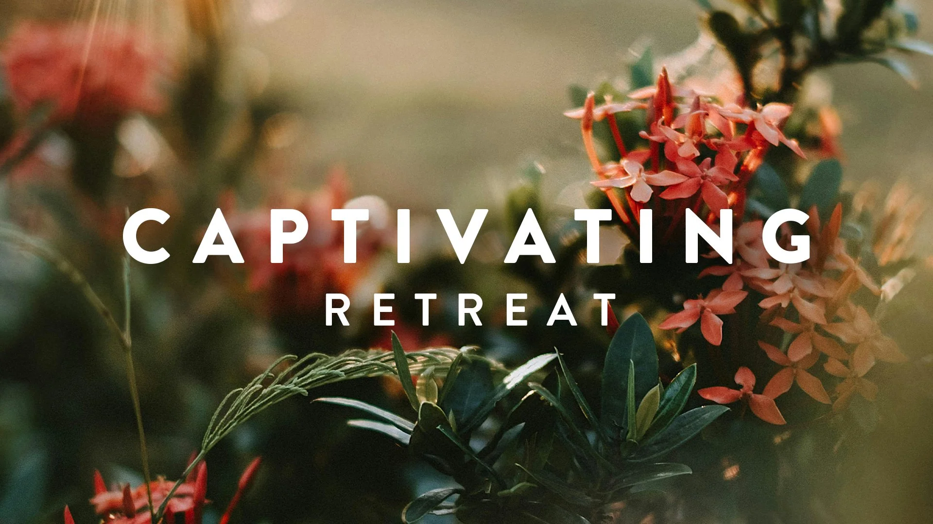 Captivating Banner.jpg