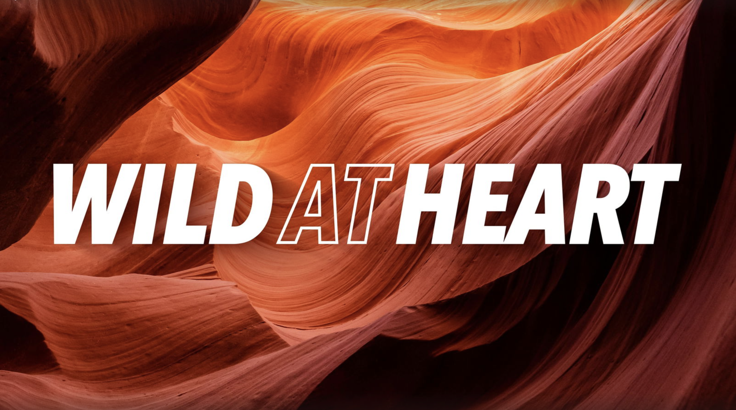 Screenshot 2026-03-05 at 10.00.34 PM.png