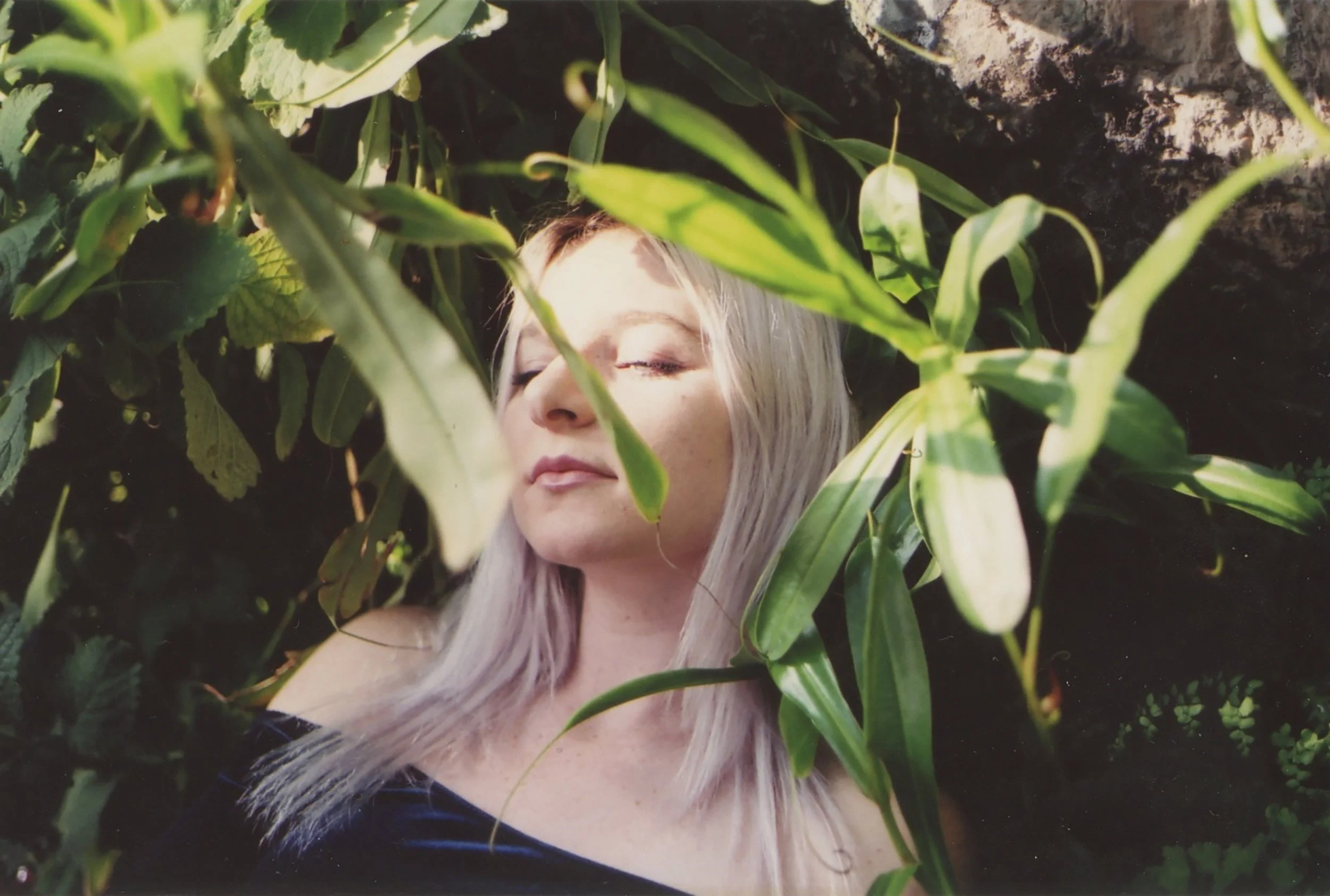 emy botanical II.jpg