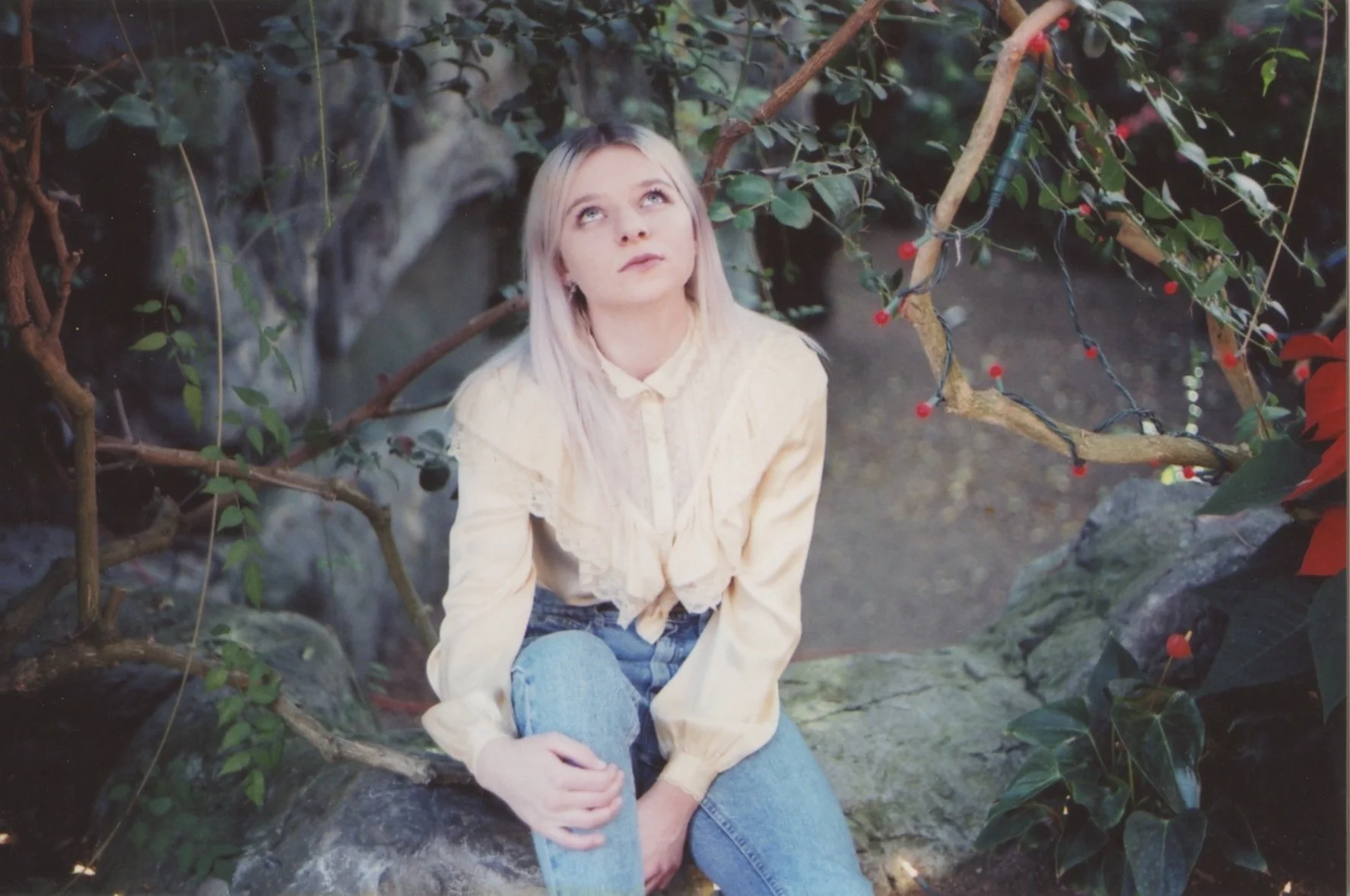 emy botanical VIII.jpg