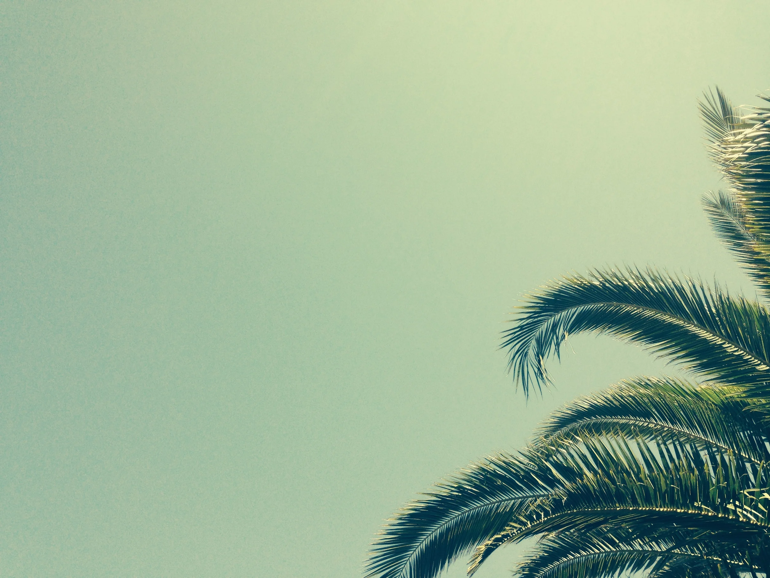 Setting A Clear Intention