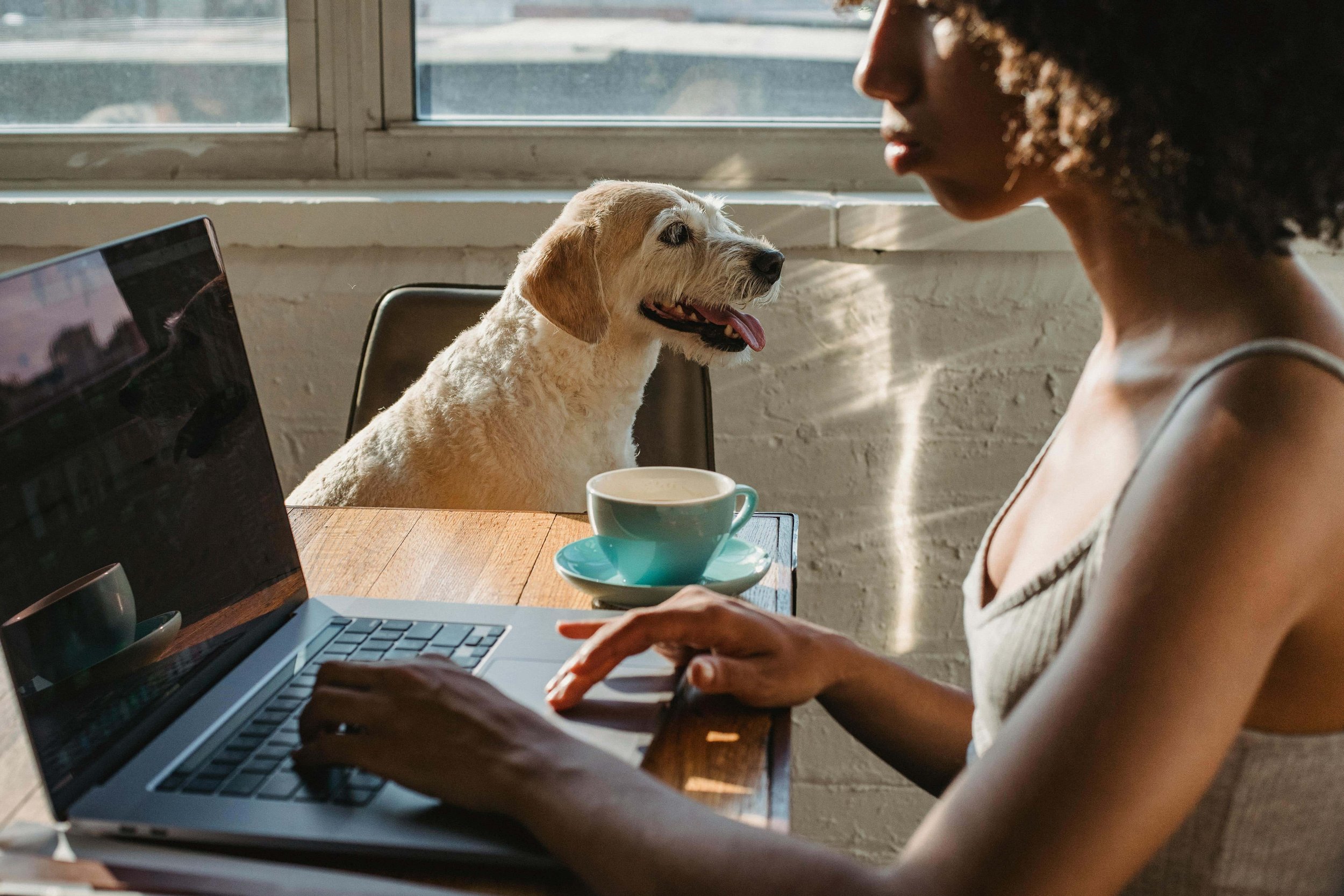 A woman using a laptop at a table with her dog.