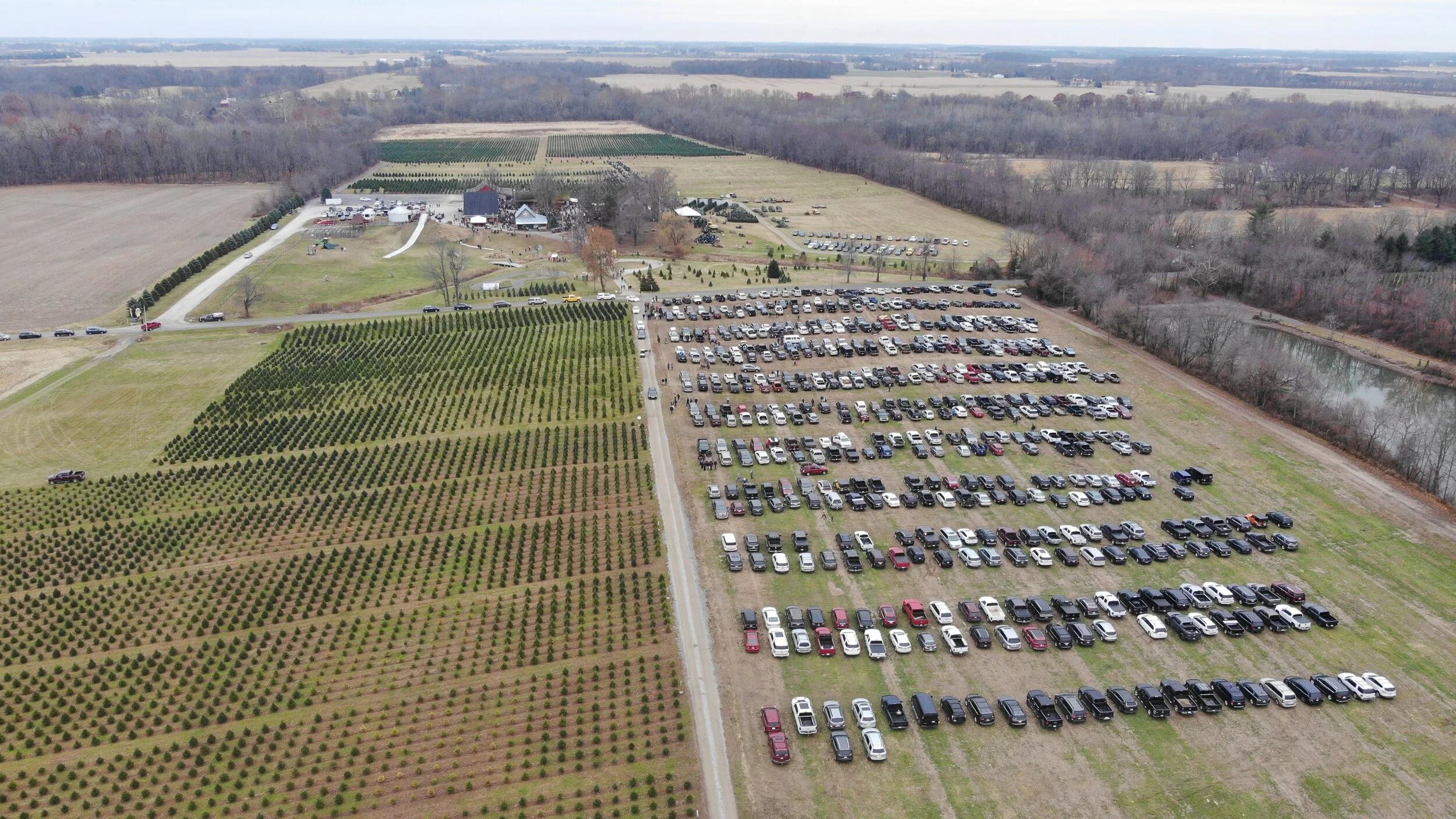 Dull's Tree Farm — TheChadColby