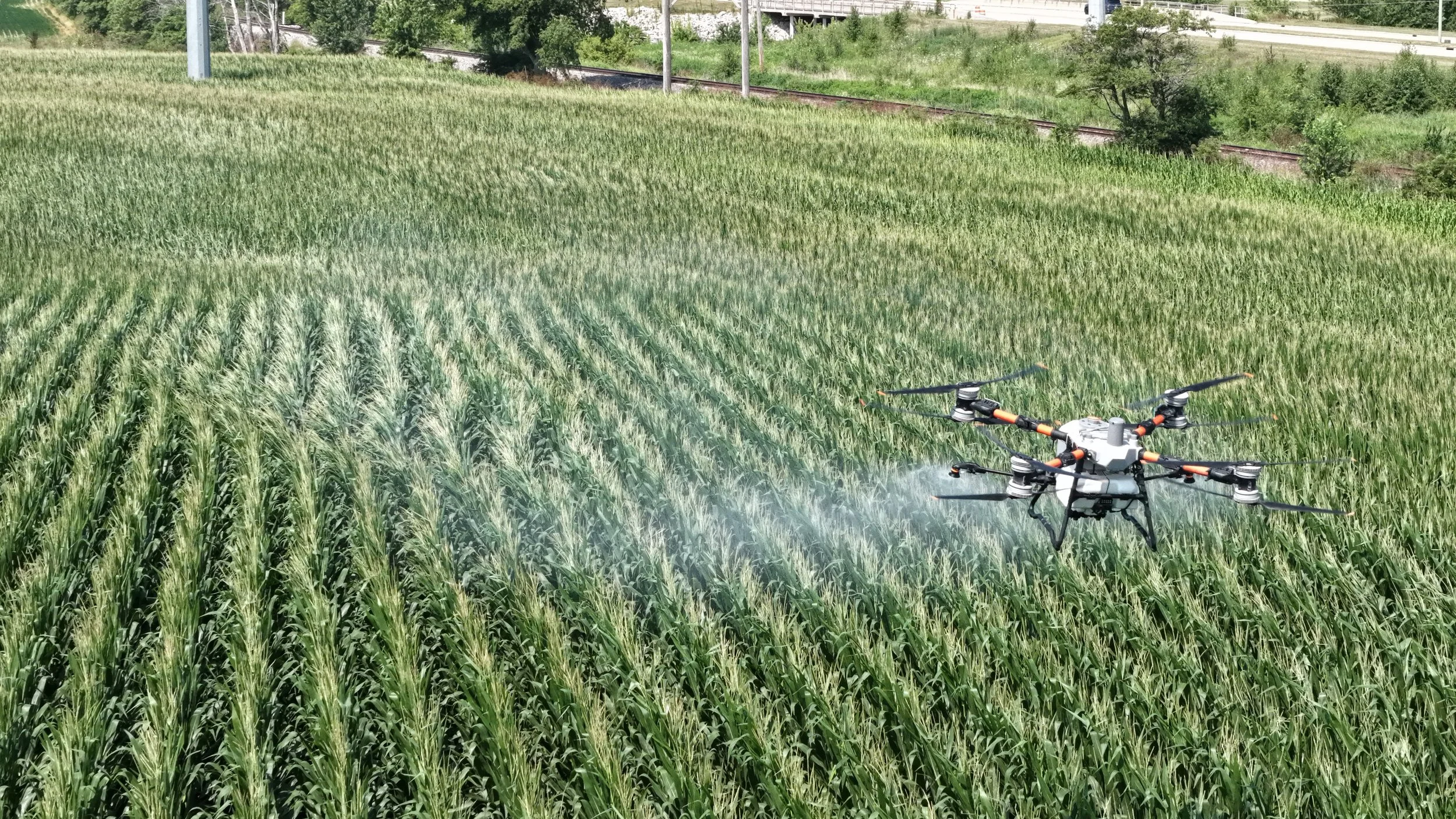 dji_fly_20260729_110820_0049_1785342096068_photo.jpeg