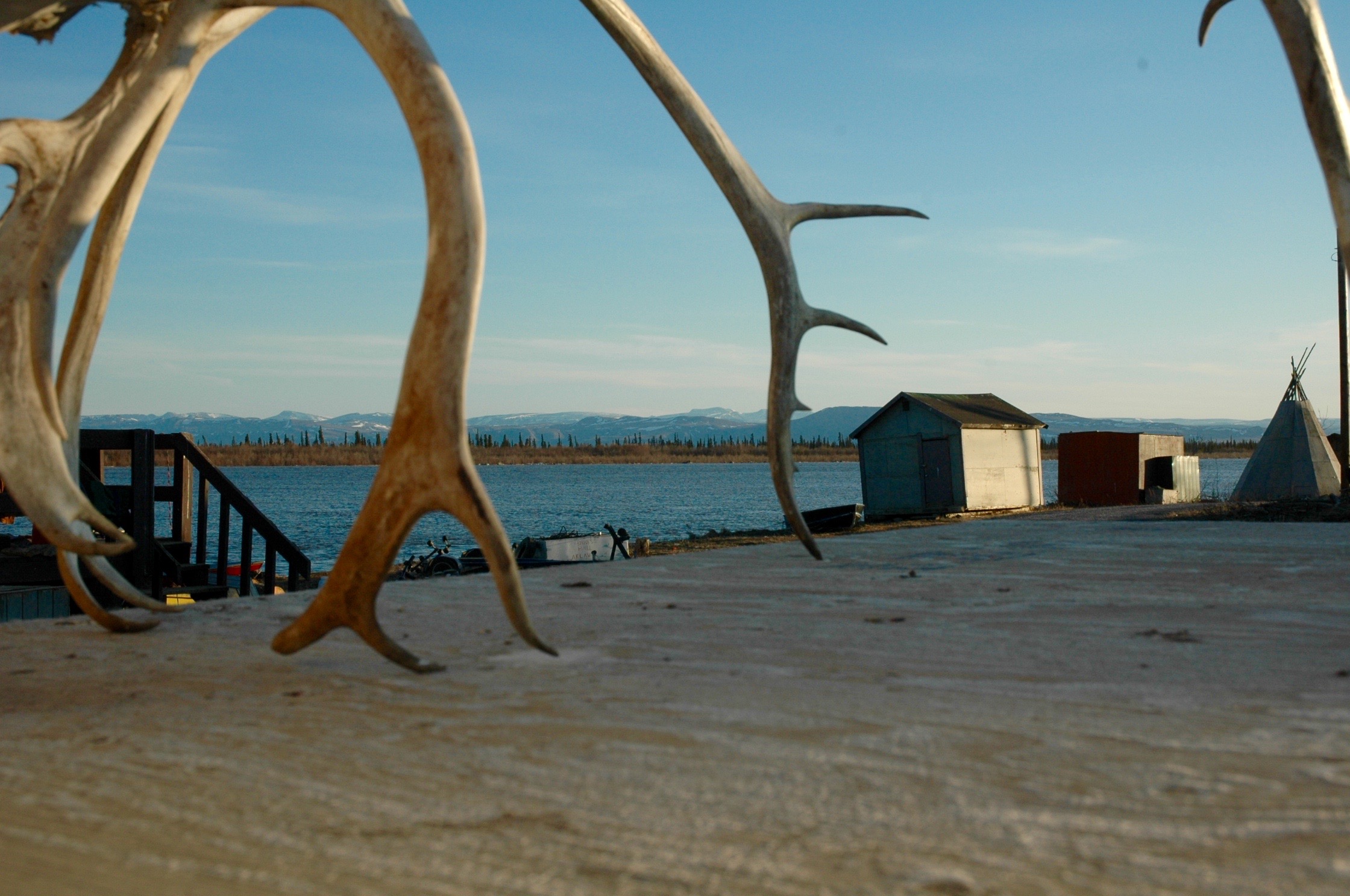 2. Antlers (Aklavik, Peel River, Richardson Mtns).jpg