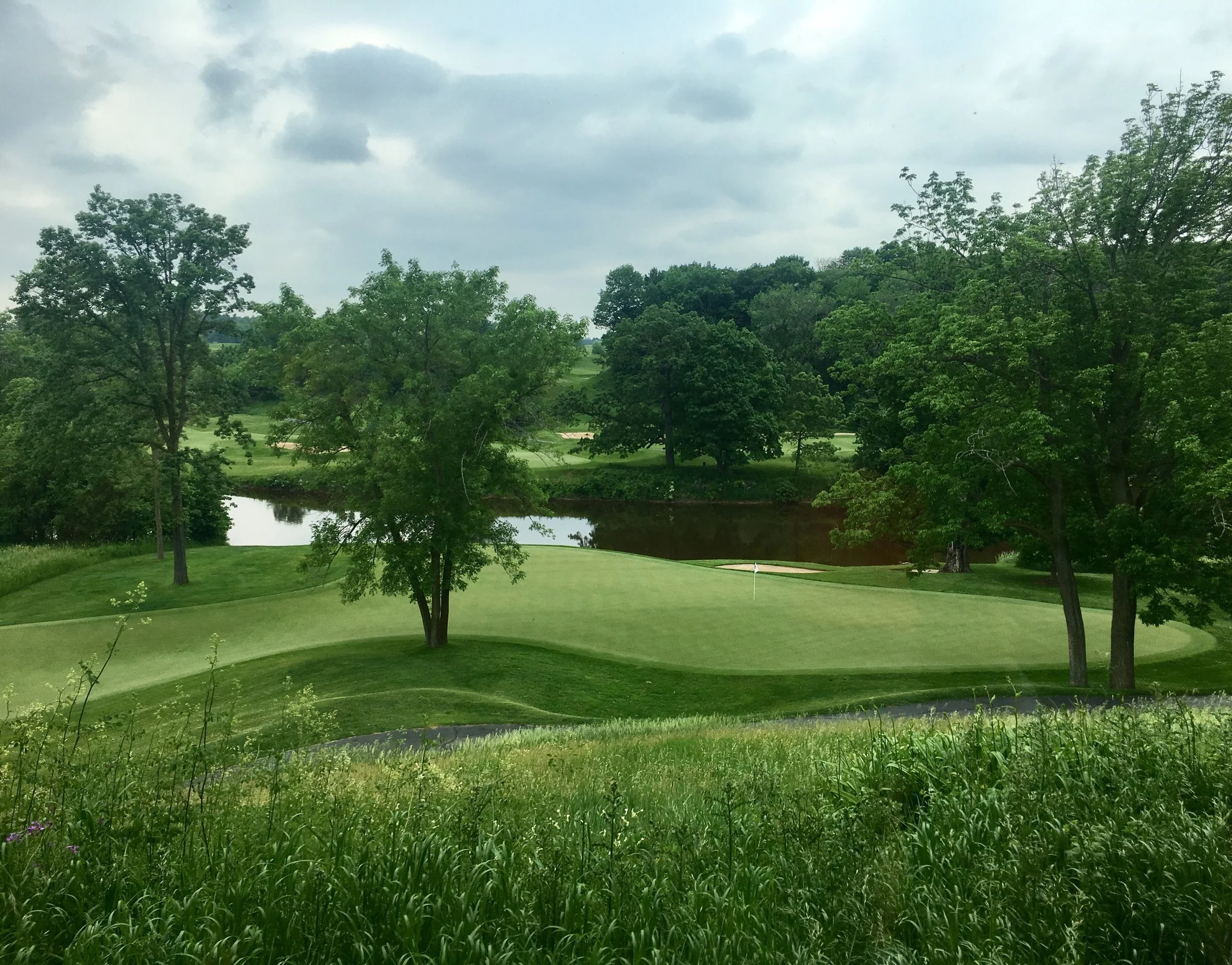 BlackwolfRun On the tee 100.jpg