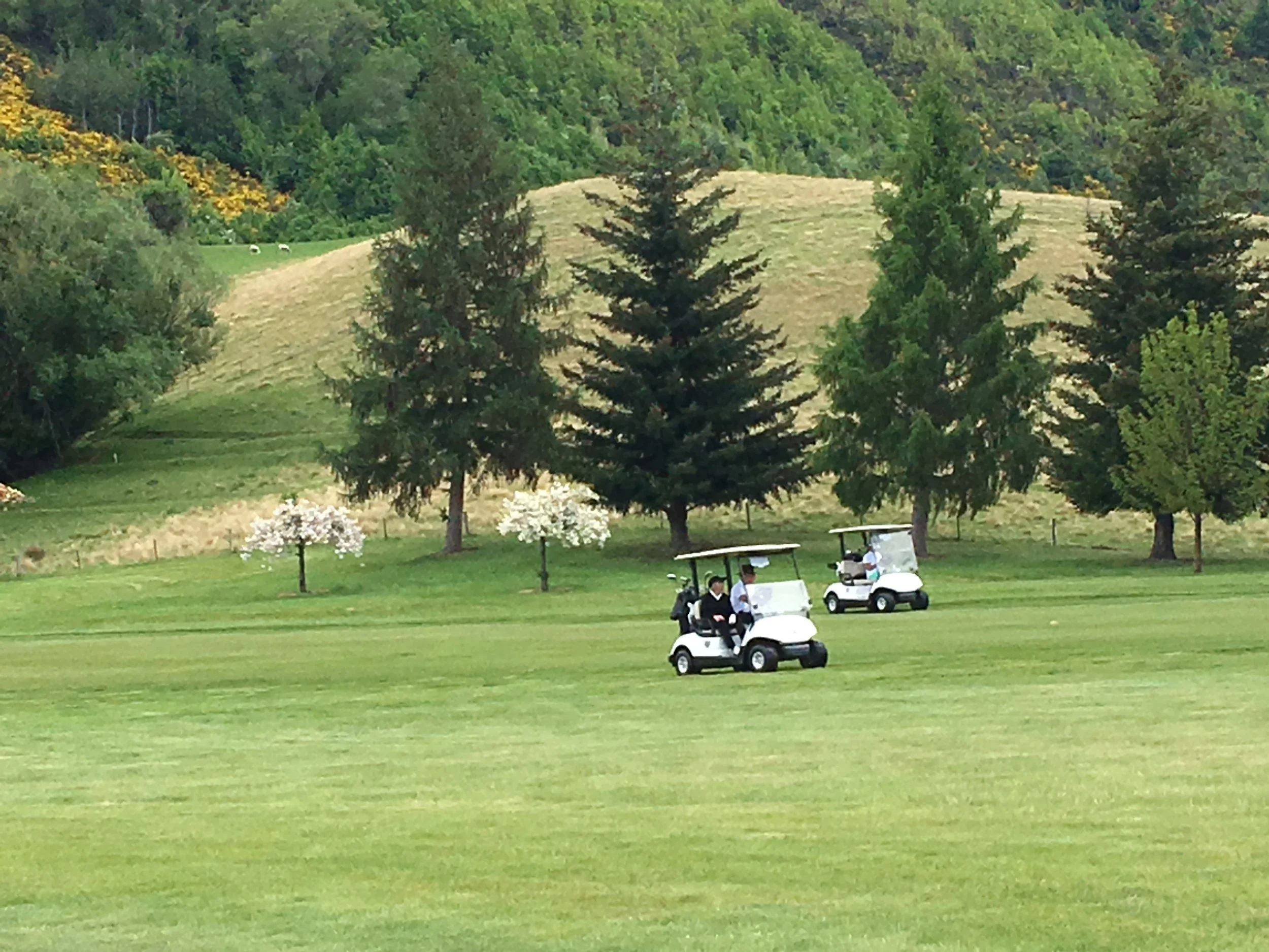 On The Tee at Millbrook