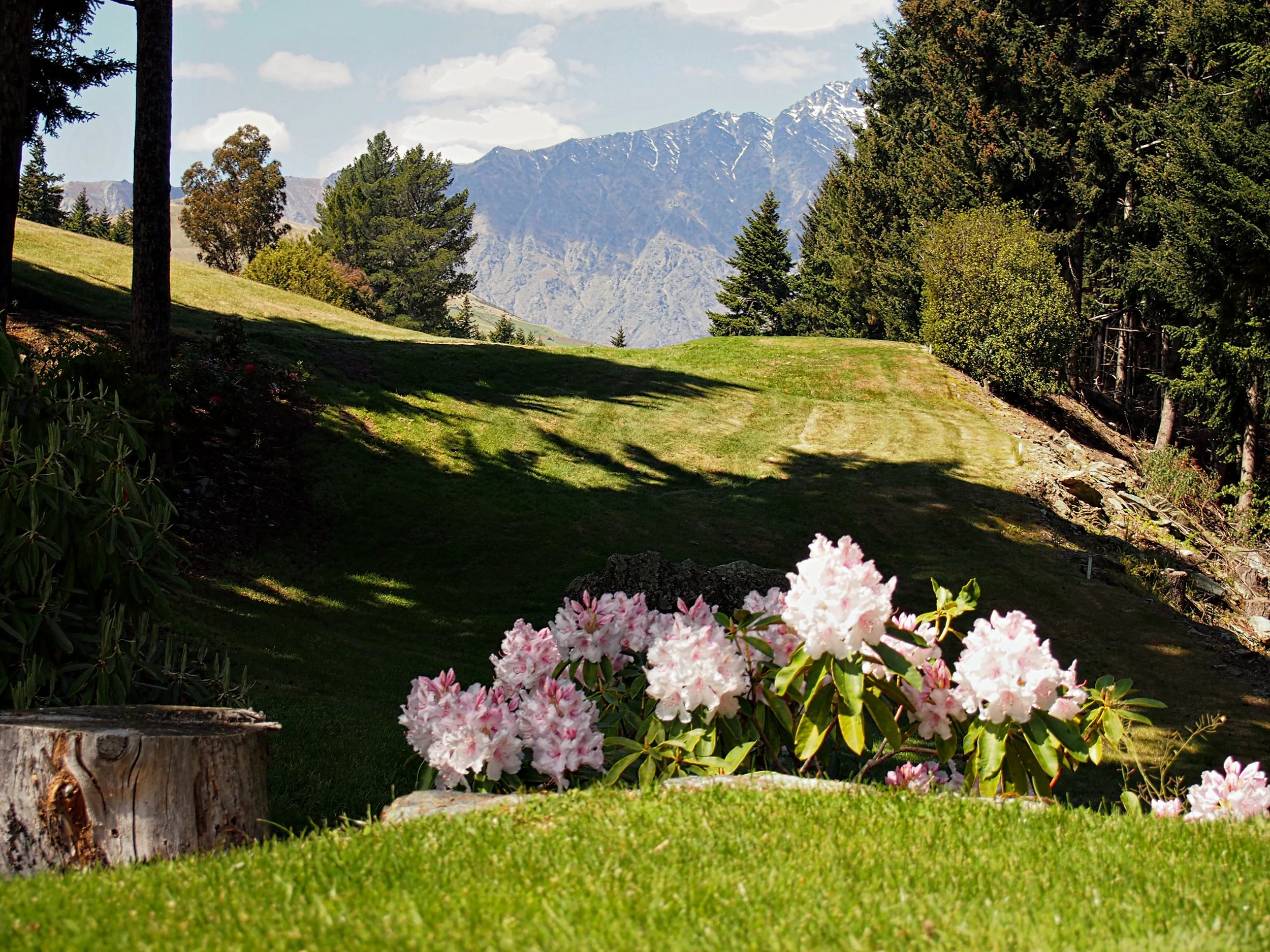 On the tee at queenstown golf club