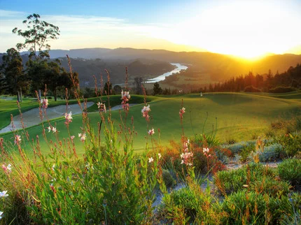 sIMOLA gOLF cLUB