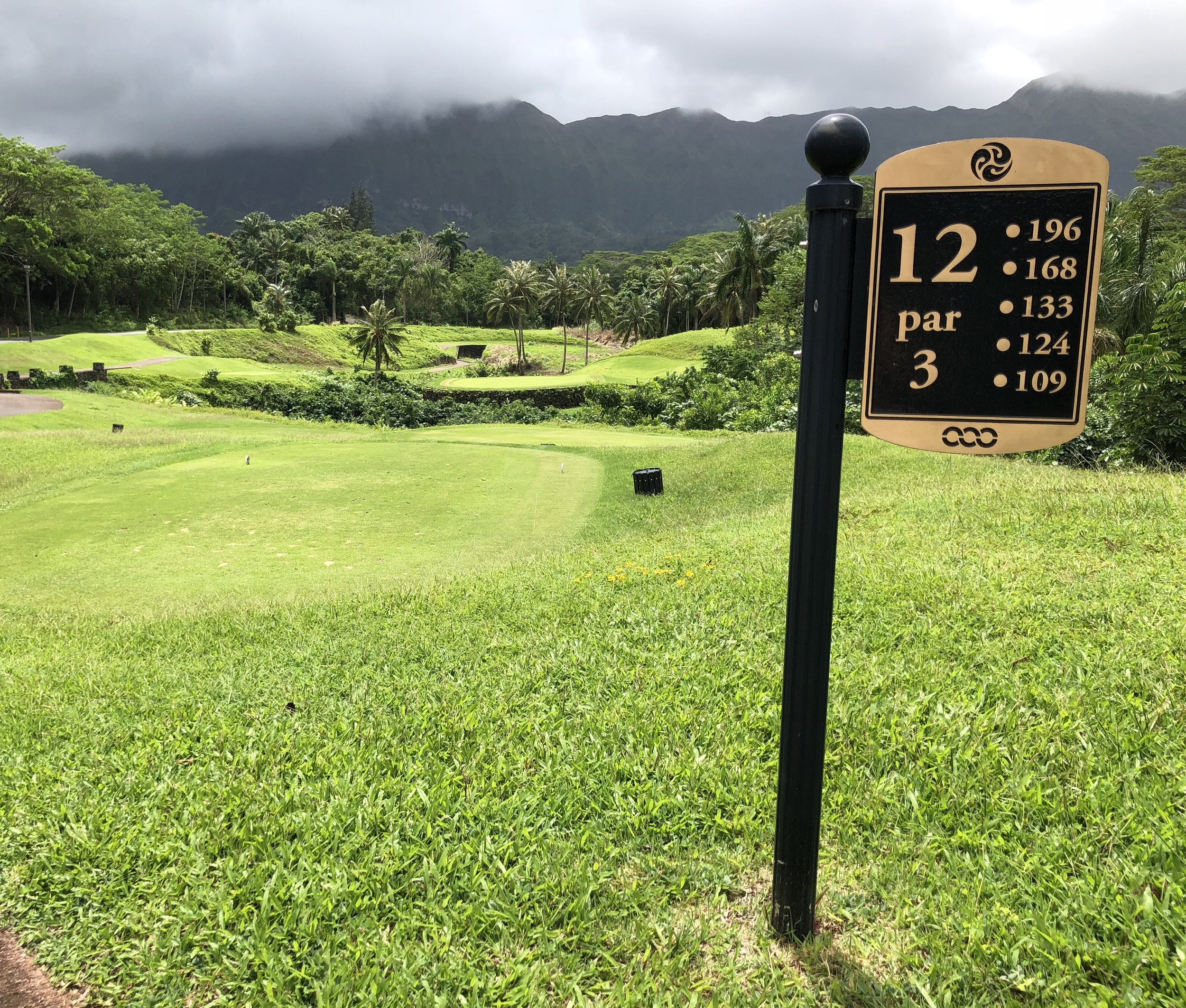 Royal Hawaiian par 3