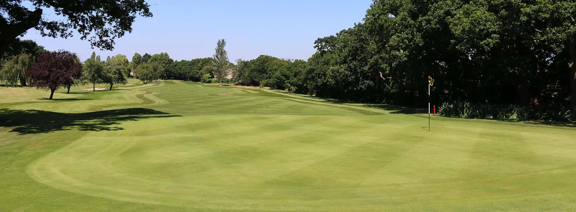 dulwich & sydenham golf club