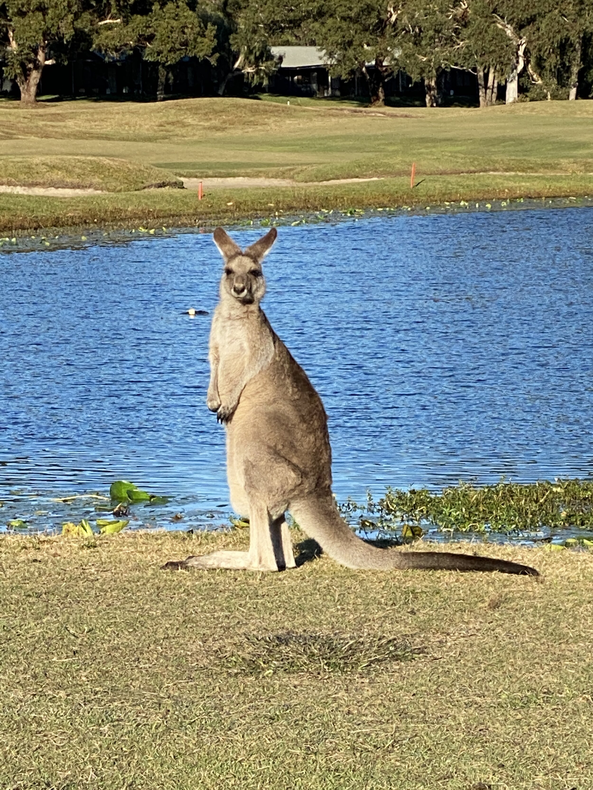 On The Tee at Horizons 21 4.JPG