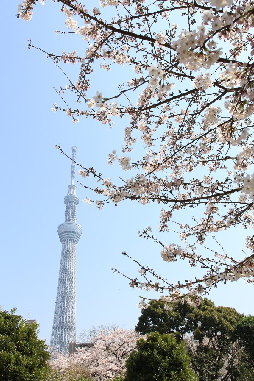 on the tee tokyo skytree ©Yasufumi Nishi JNTO.jpg