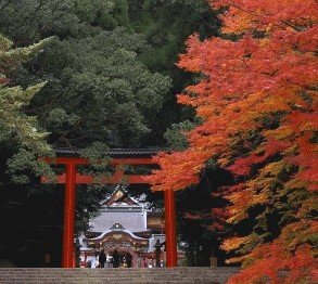 Kirishima Jingu.jpg