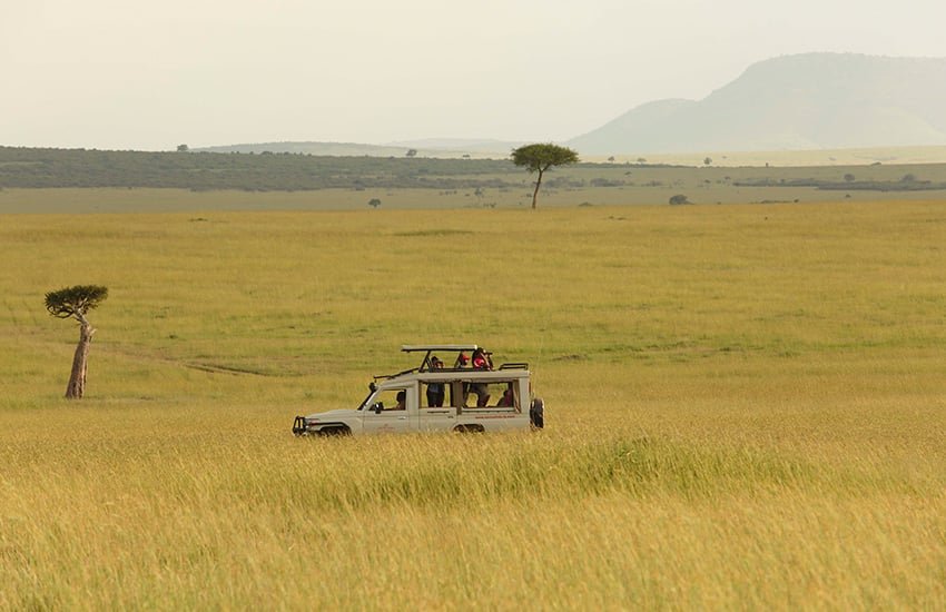 Maasai Mara