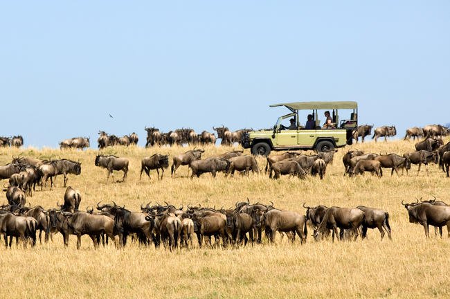 dunia-camp-wildebeest-migration.jpg