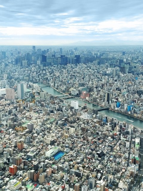 Bird's eye view of Tokyo