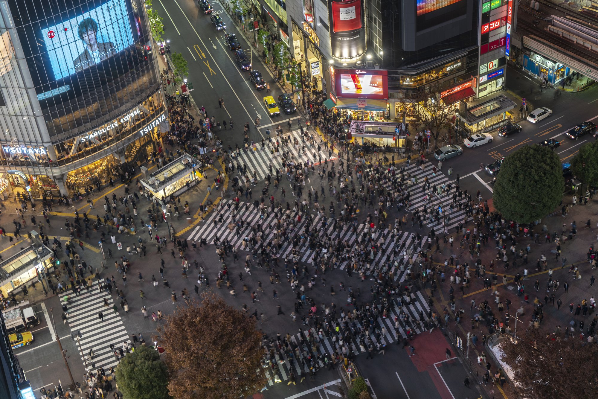 Shibuya Crossing