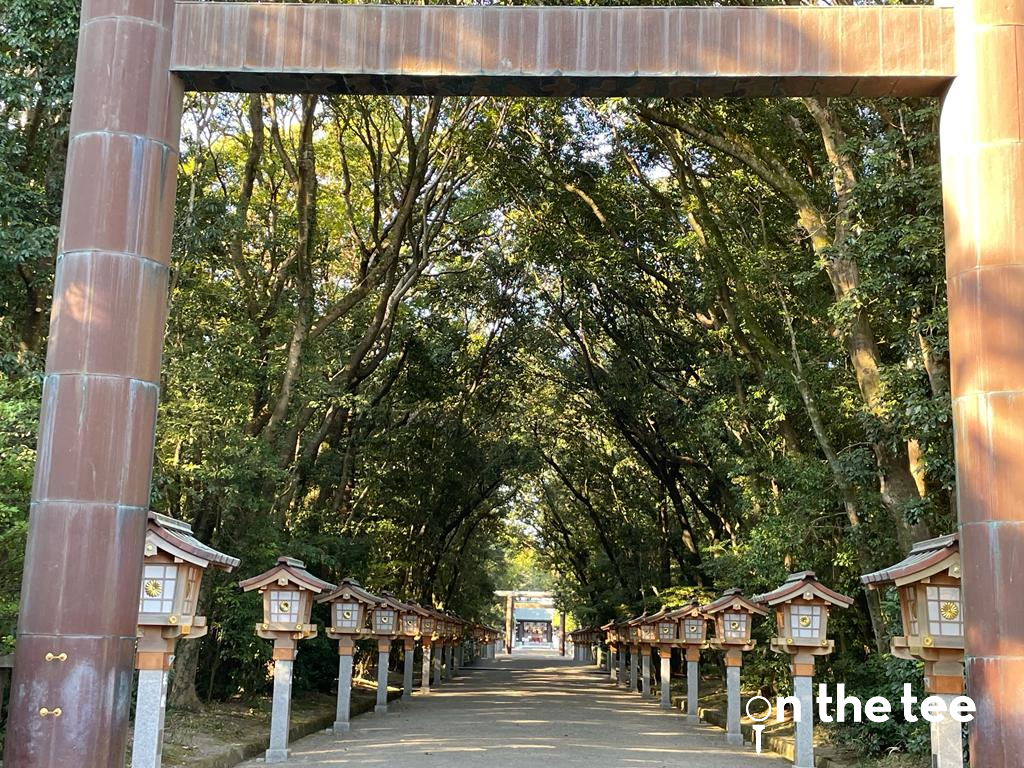 Tori at Miyazaki Shrine