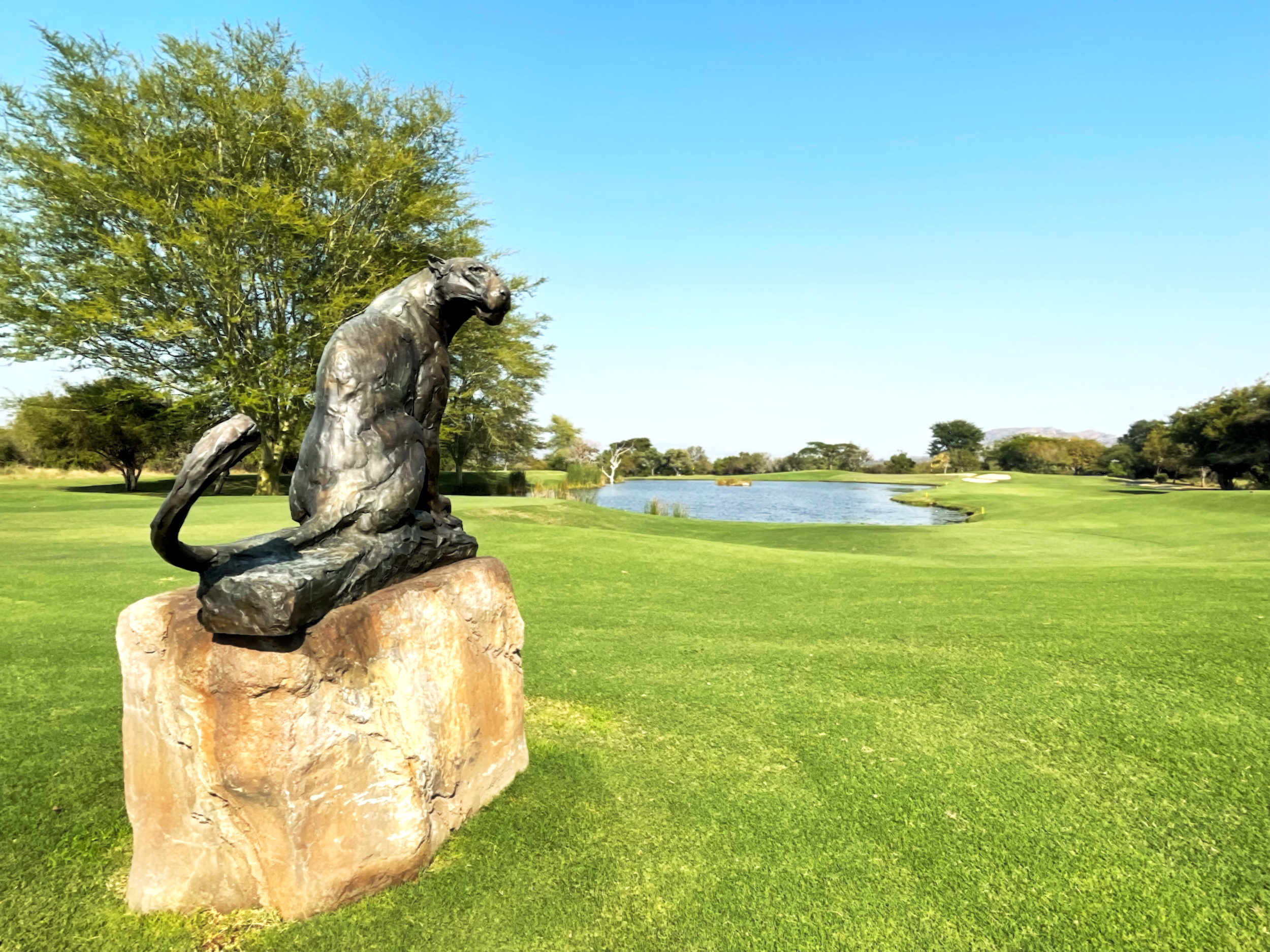 Leopard Creek (2).PNG