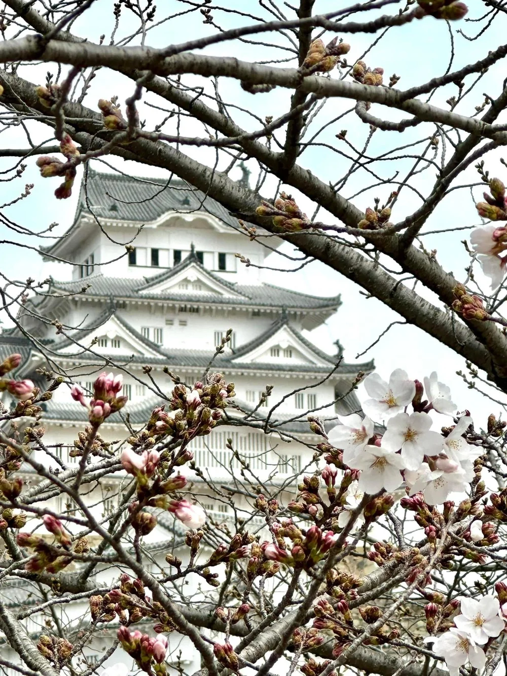 HIMEJI CASTLE