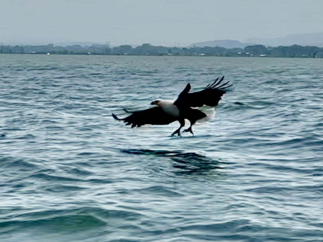 f53ab3ba-d1e7-4b8b-b0d4-848b8113fd03.JPG