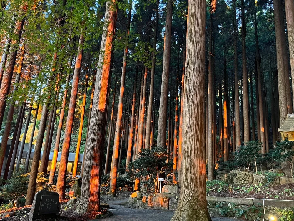 Views from Kiroshima Hotel