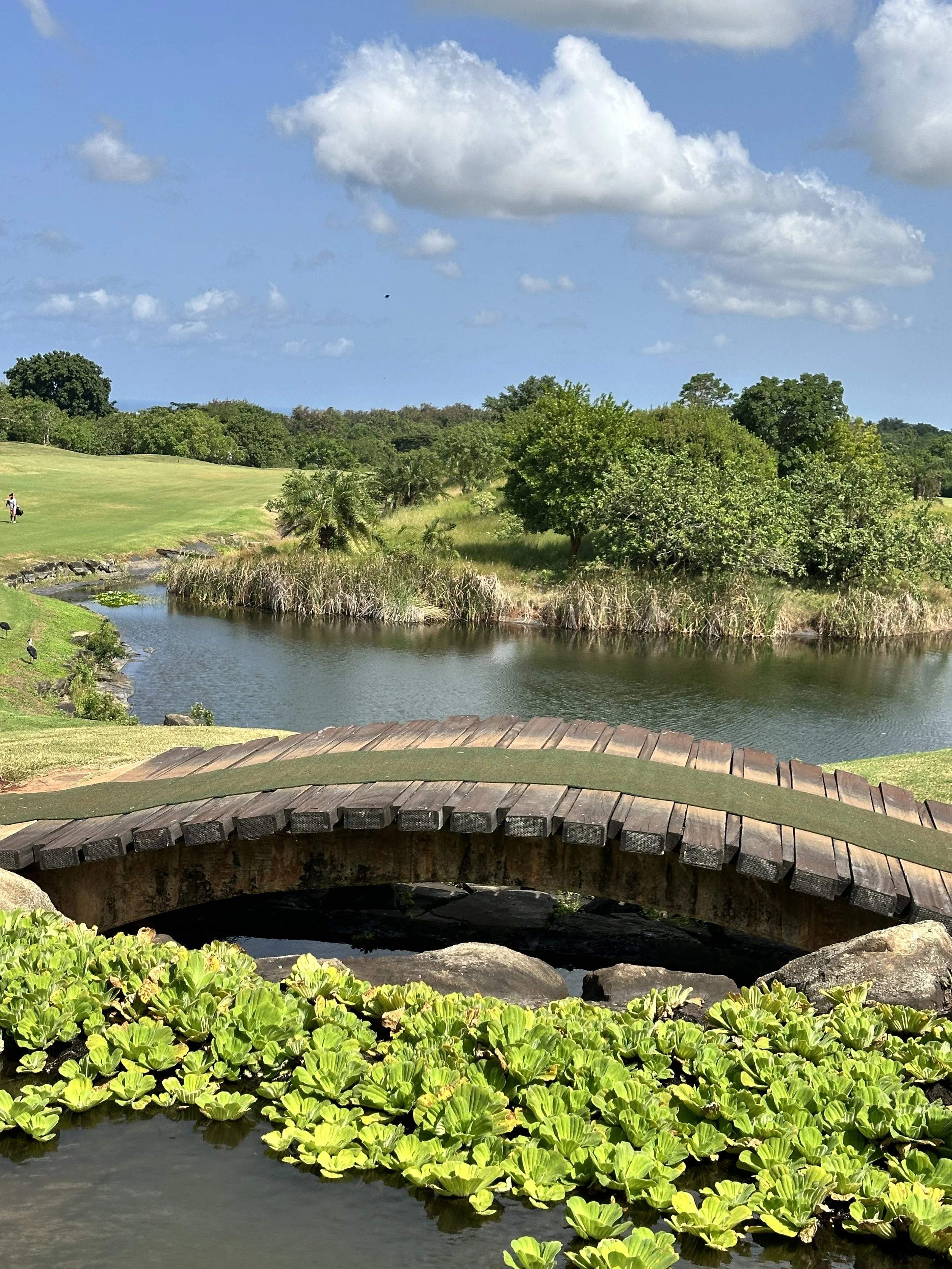 onthetee vipingo 5.JPG