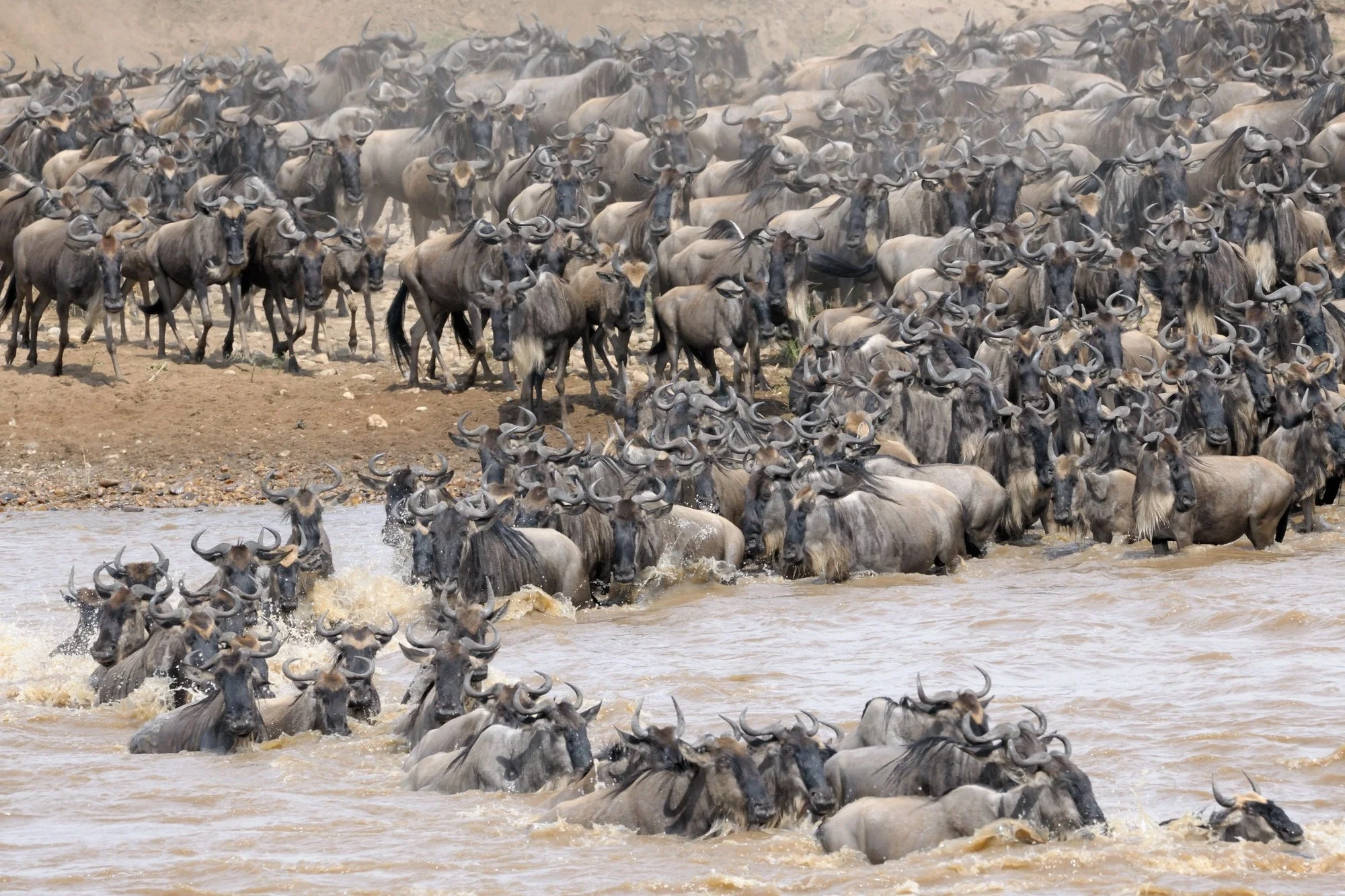 Africa - Golf and Safari — On The Tee Travel