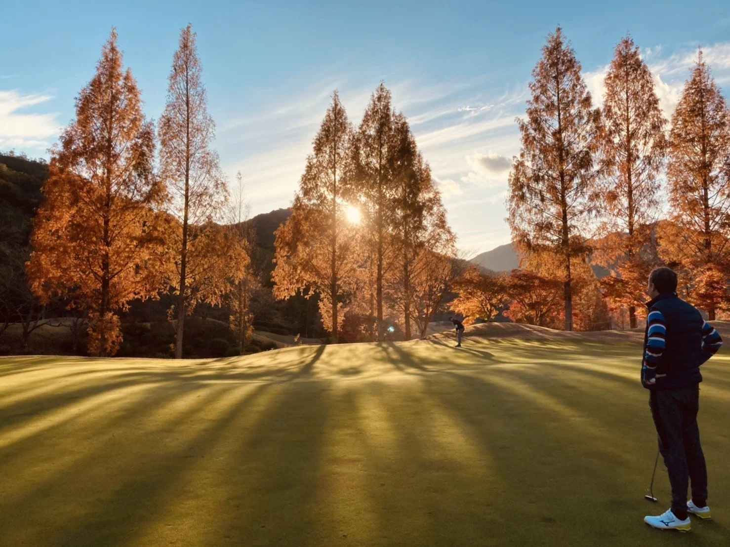 Golden Valley Togano.jpeg