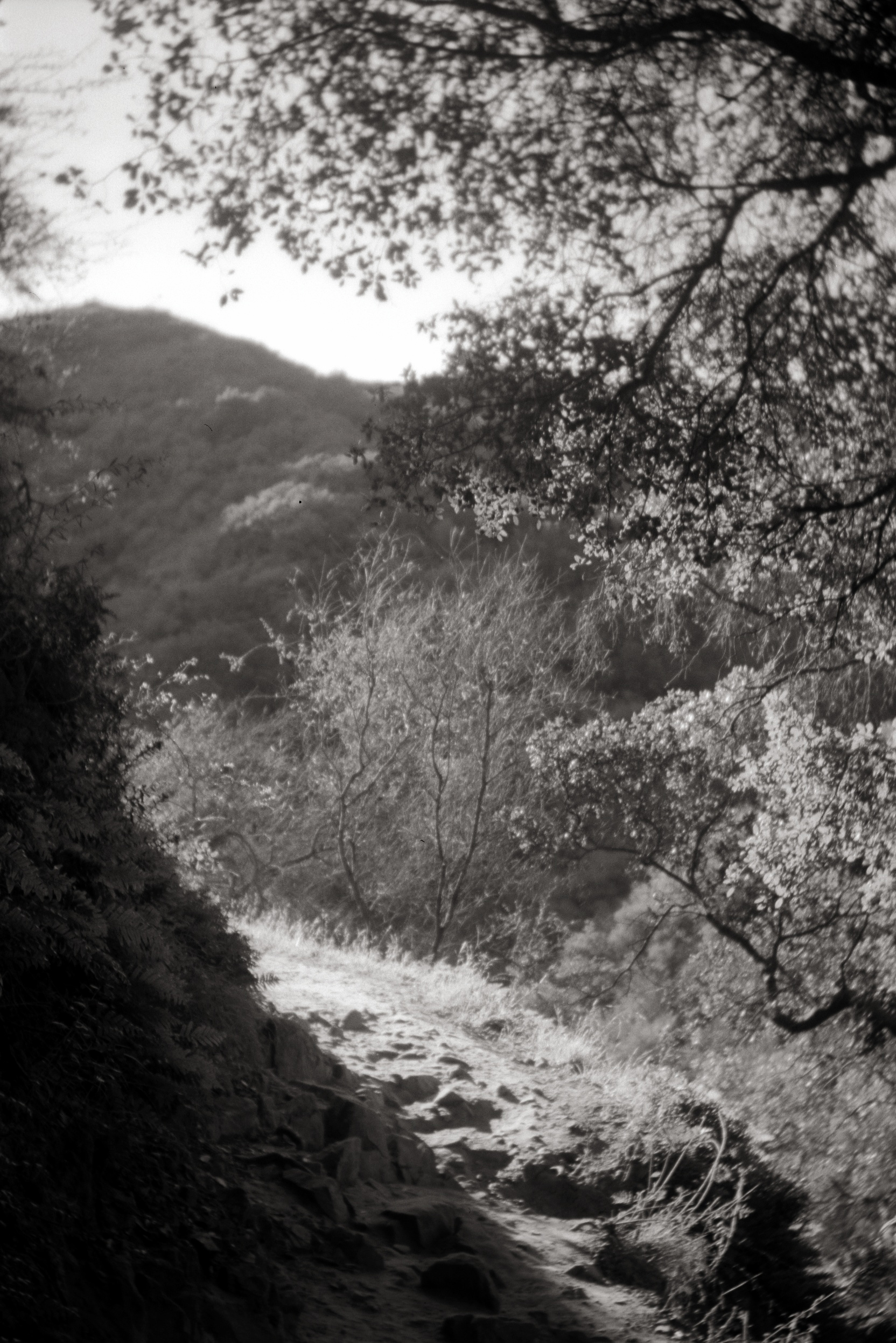 S04379_002.jpg