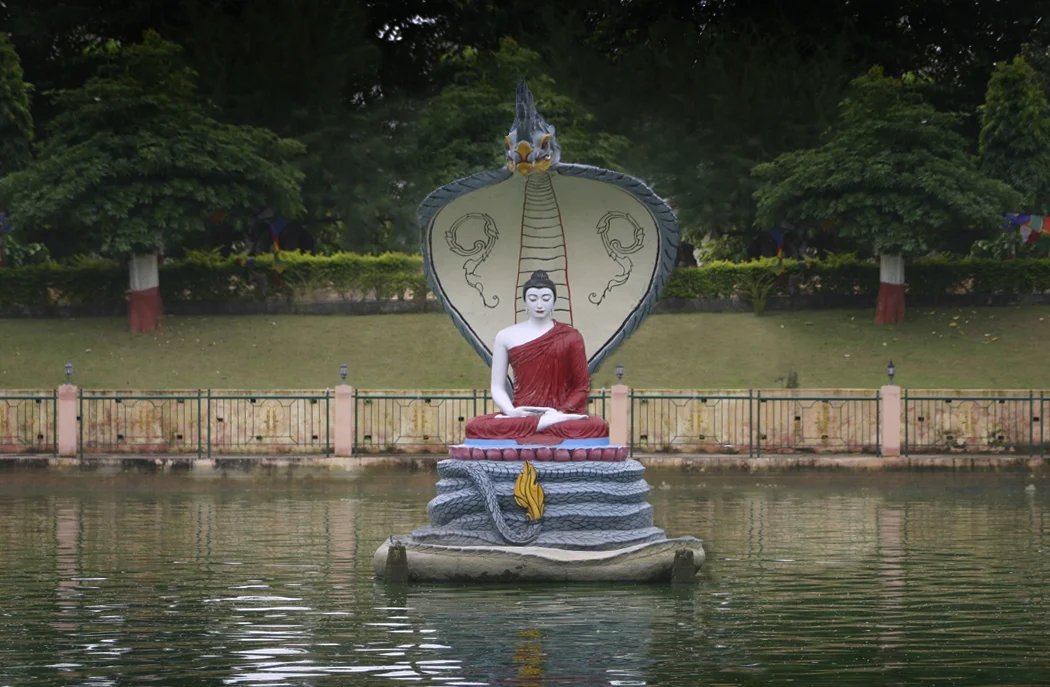 INDIA_2013.802.2.jpg