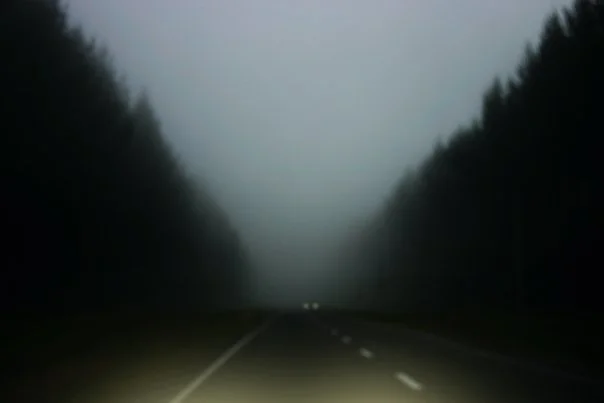 6800_122241480722_707430722_2886283_5233545_n.jpg
