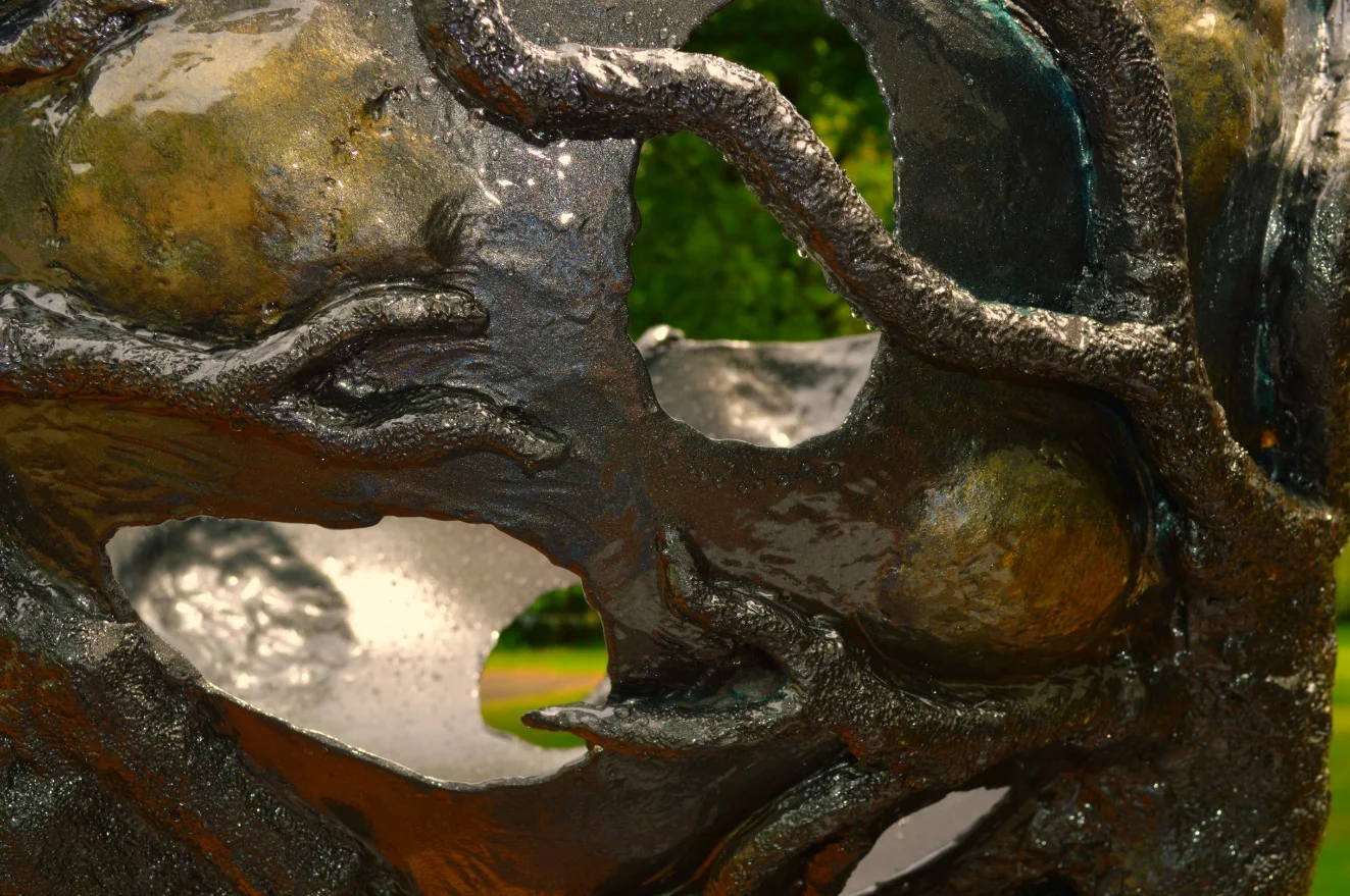 Detail of 2 birds in a Tree