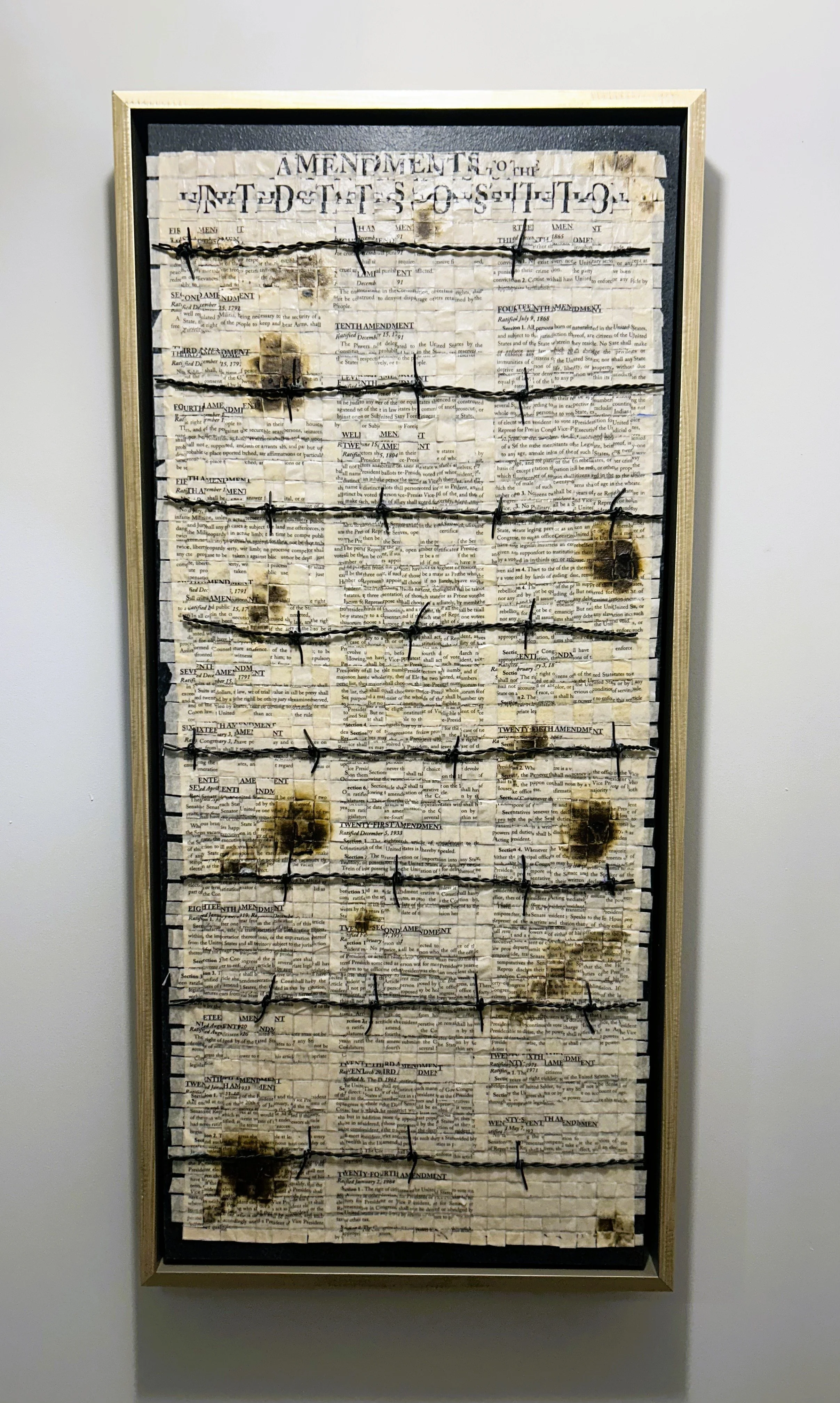 Fault Lines- Democracy Dismantled