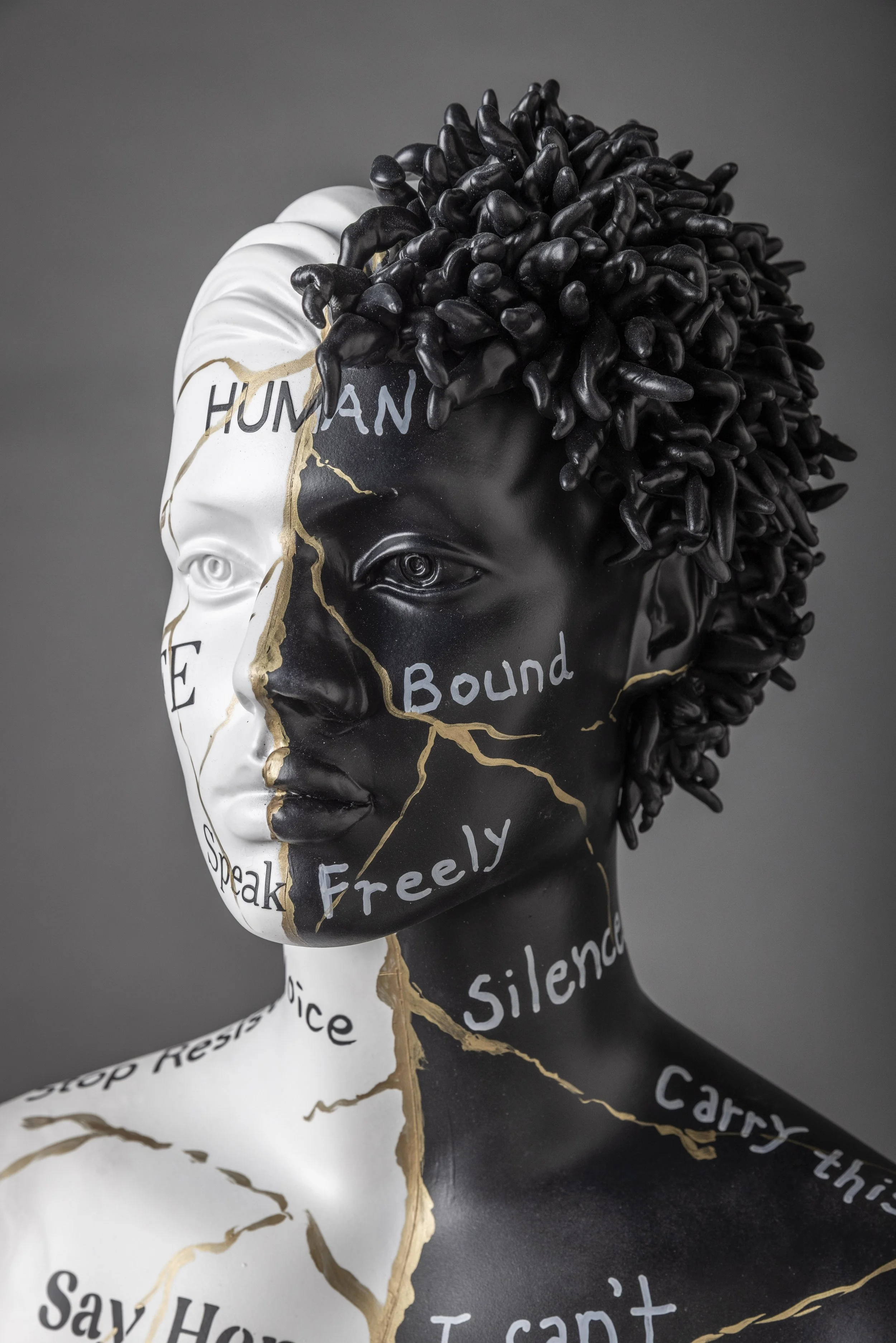 The Language of Color- 1 Body, 2 Historys