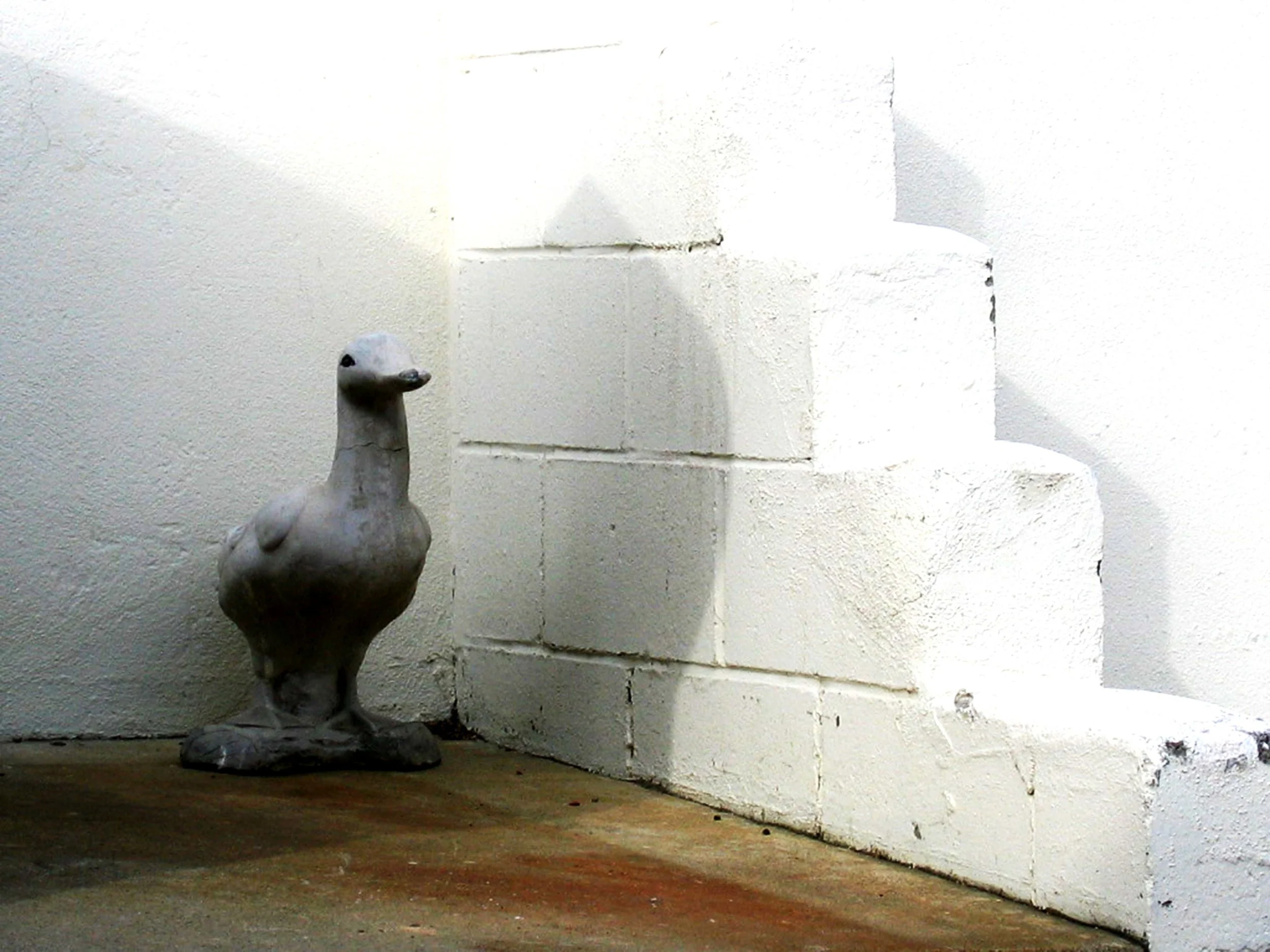 DuckDuckDuck.jpg
