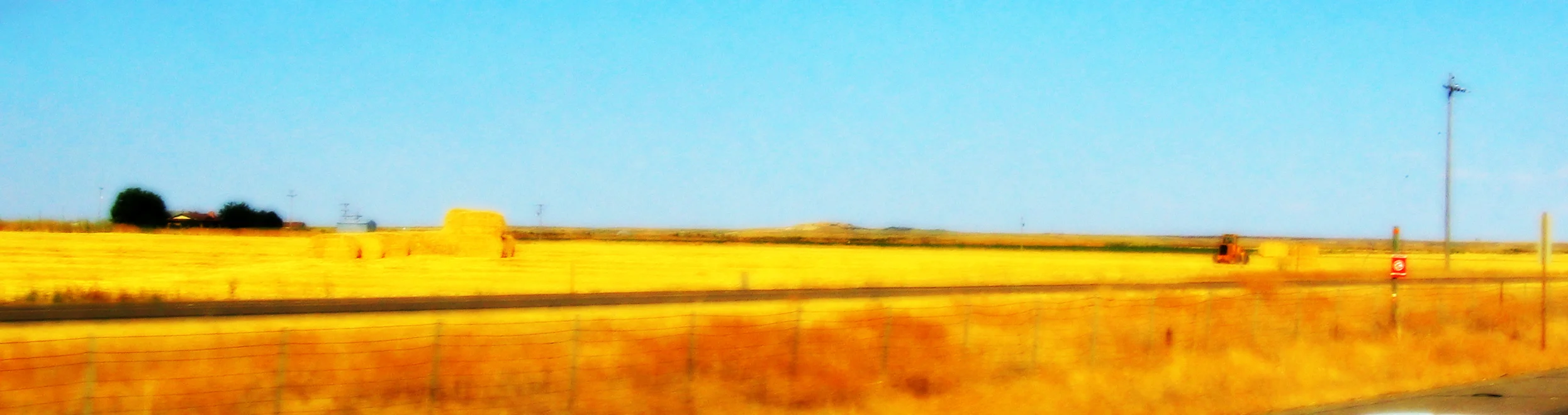 Harvest.JPG