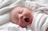 1 month old.jpg