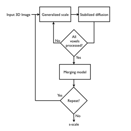   Simplified flowchart of the s-scale method&nbsp;  