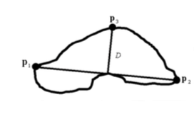  Polygonization based on Douglas-Peucker line simplification algorithm 