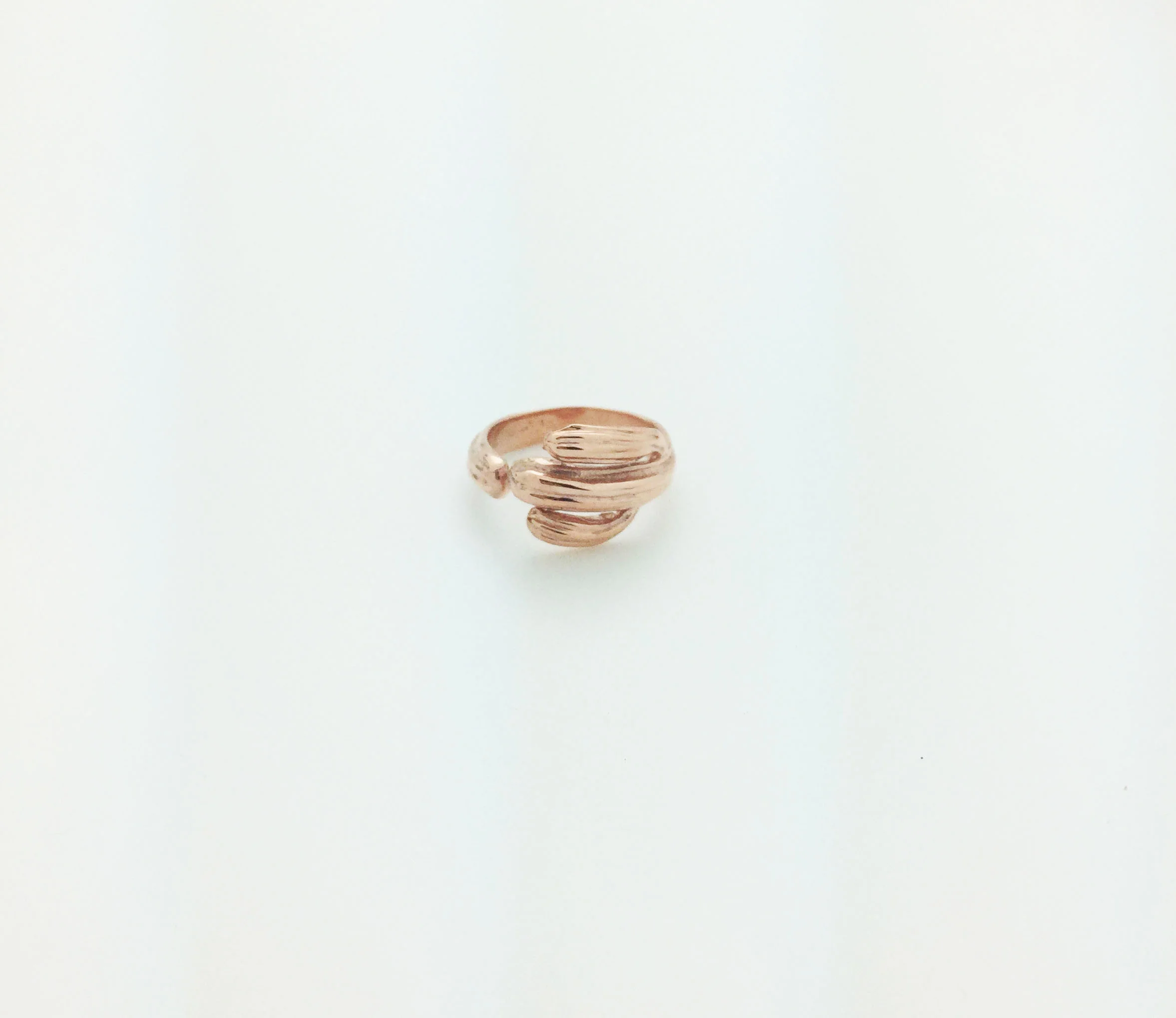 Cactus Ring RG2.jpg