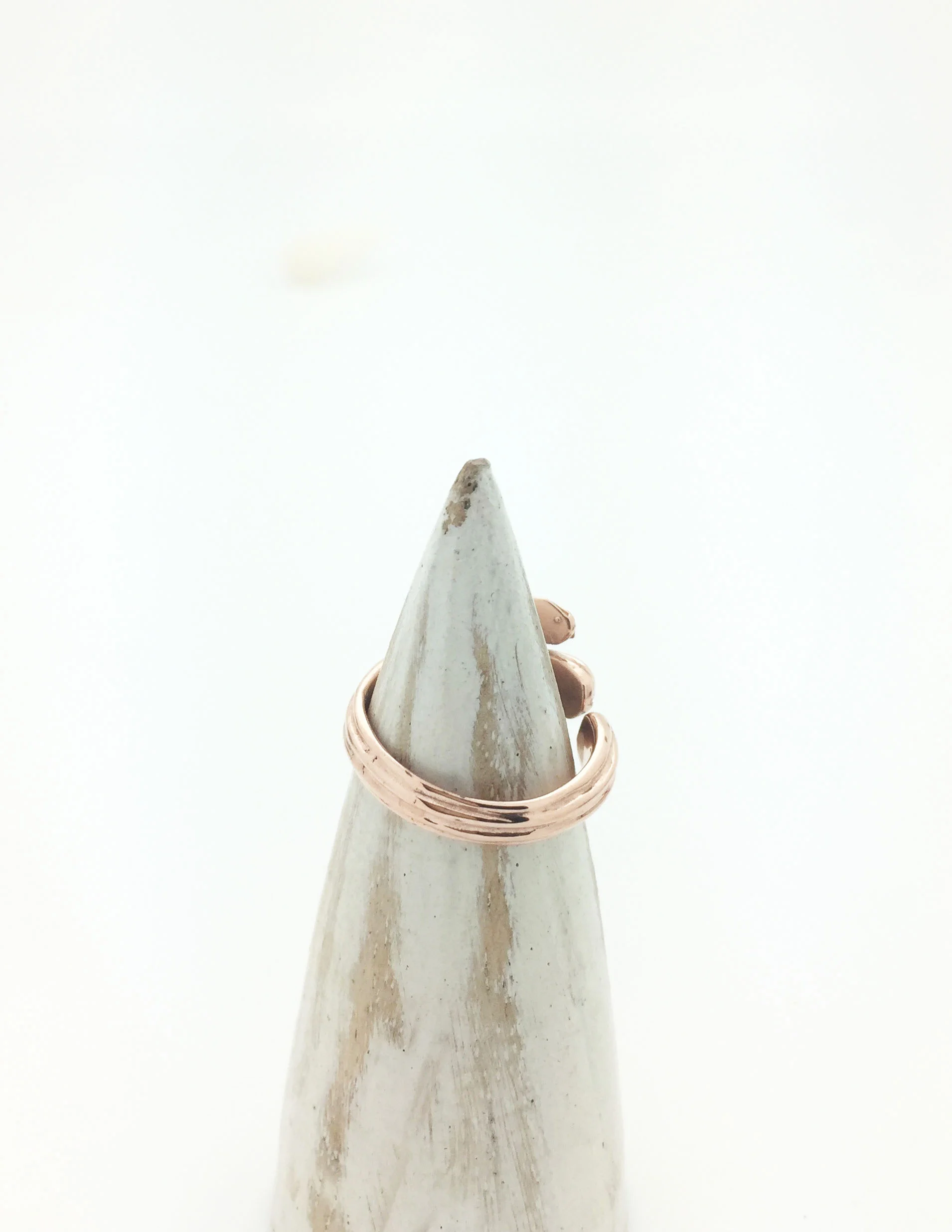 Cactus Ring RG24.jpg