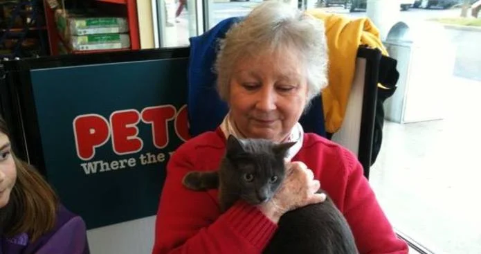 Norhtport Cat Rescue Honors Judy Thamm