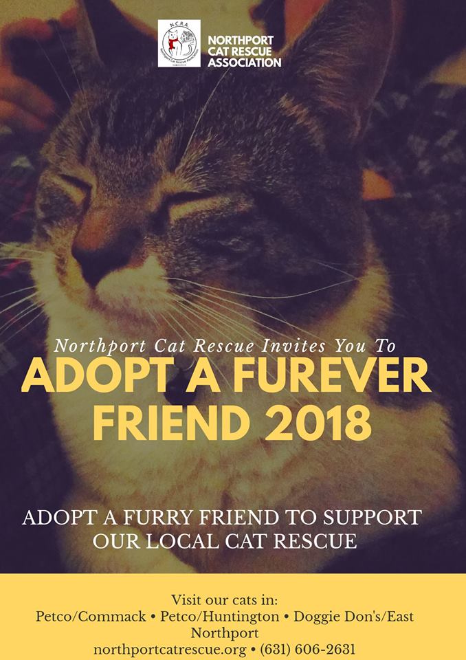 Petco Commack Adoption Event