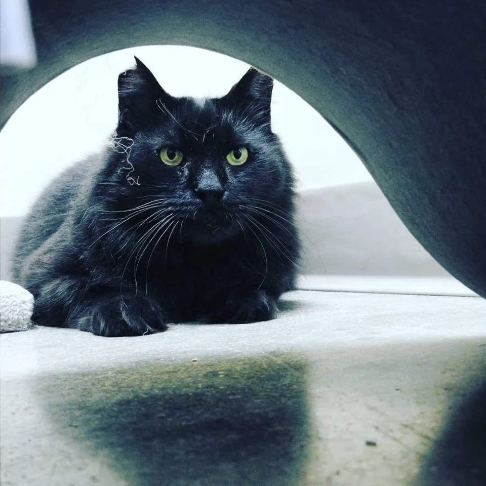 Jukebox has a Message