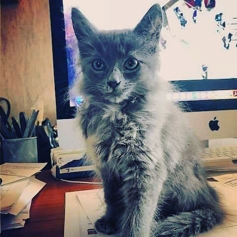 Izzy has found himself a loving home!!!