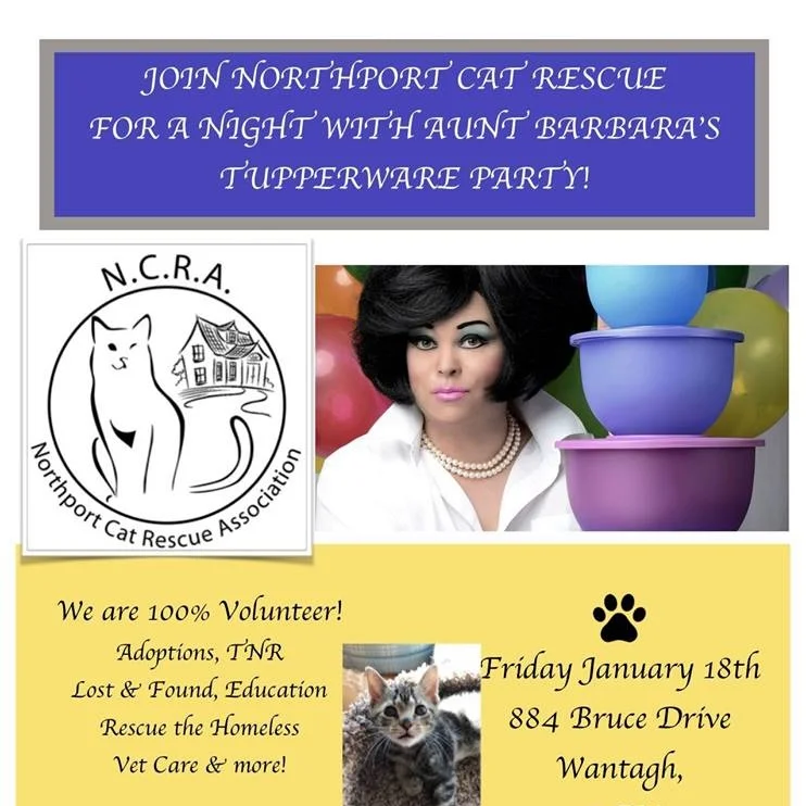 It's a Tupperware Party.. with your Aunt Barbara!